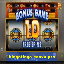 bingotingo canva pro